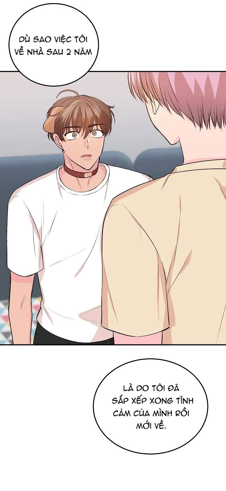 Good dog , my boy Chapter 5 Trang 8