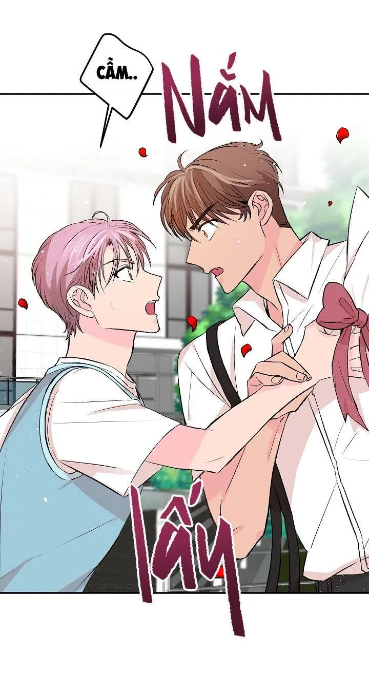 Good dog , my boy Chapter 6 Trang 34