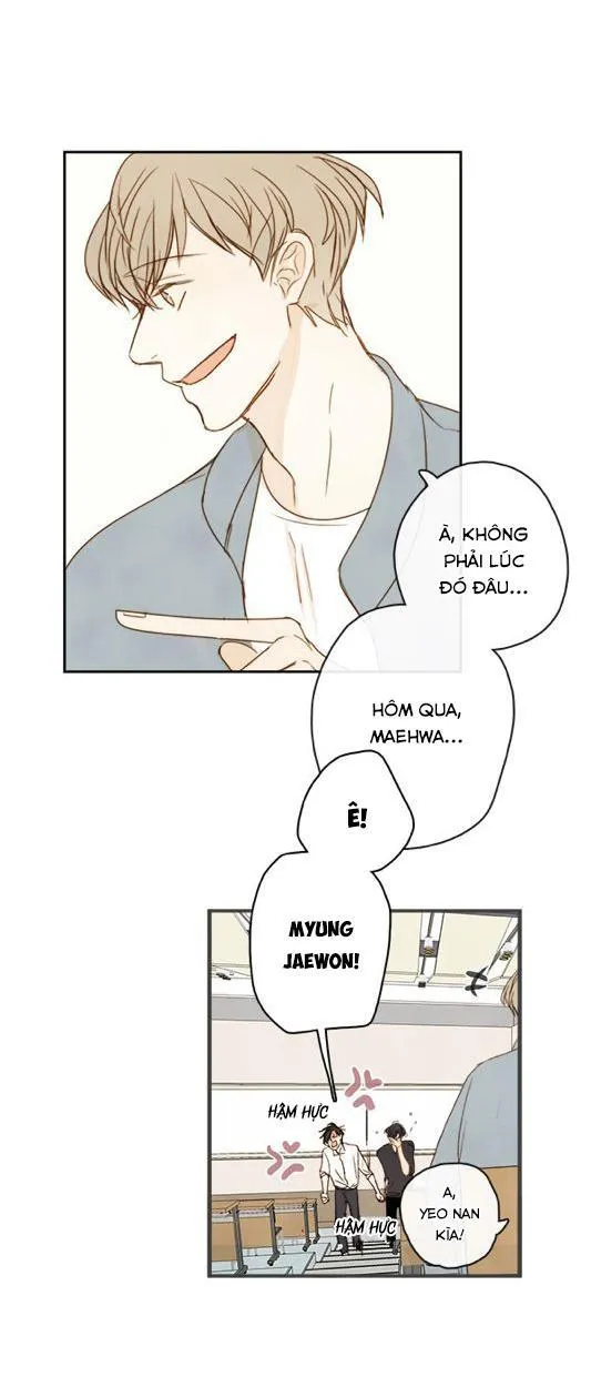 Green Apple Paradise Chapter 4 Trang 20