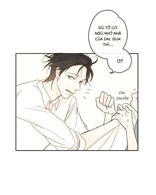 Green Apple Paradise Chapter 4 Trang 23