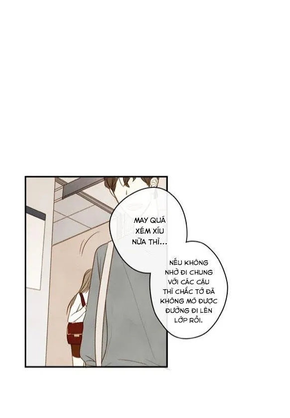 Green Apple Paradise Chapter 5 Trang 19