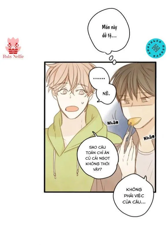 Green Apple Paradise Chapter 5 Trang 29