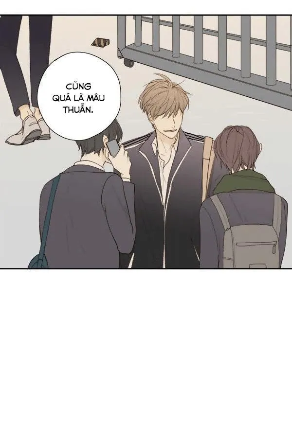 Green Apple Paradise Chapter 8 Trang 10