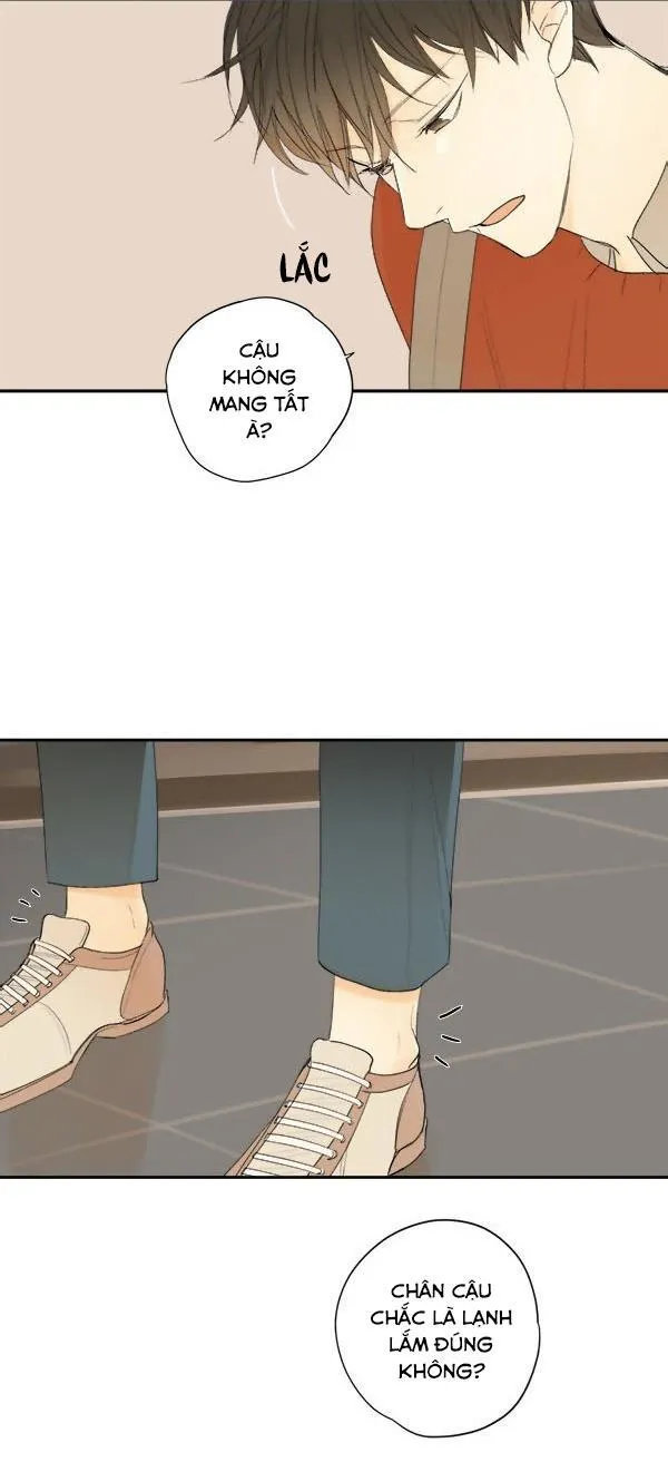 Green Apple Paradise Chapter 9 Trang 20