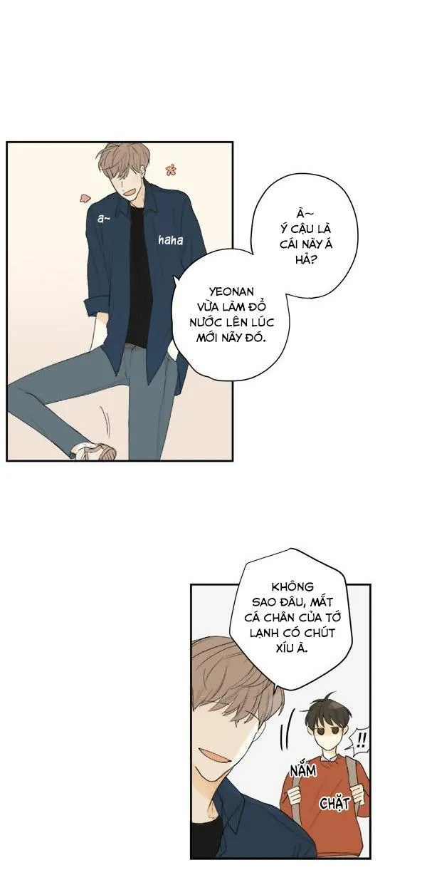 Green Apple Paradise Chapter 9 Trang 21