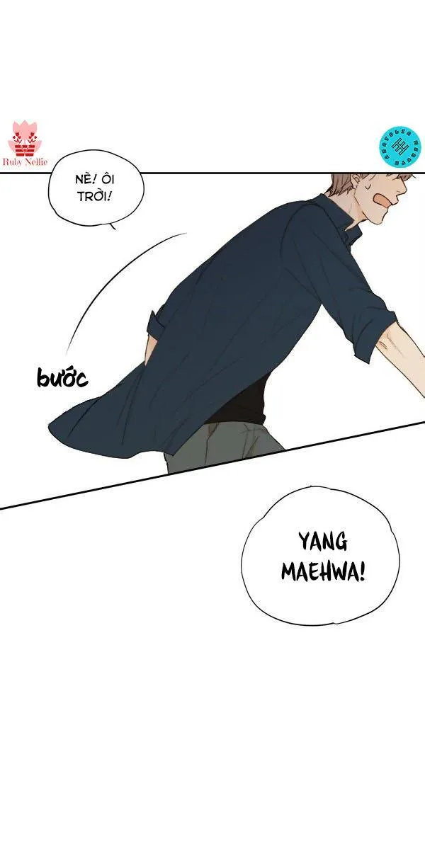 Green Apple Paradise Chapter 9 Trang 24