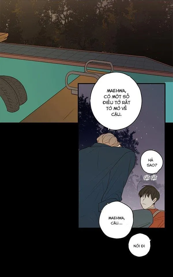 Green Apple Paradise Chapter 10 Trang 4