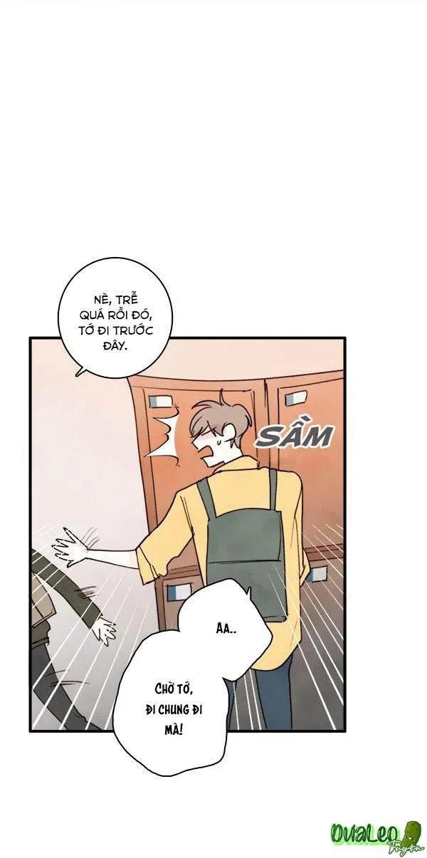 Green Apple Paradise Chapter 12 Trang 20