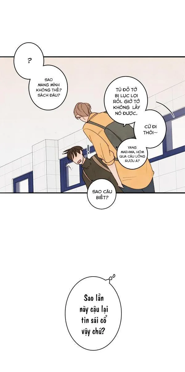 Green Apple Paradise Chapter 12 Trang 21