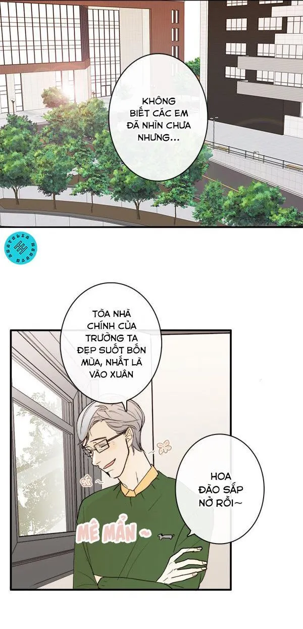 Green Apple Paradise Chapter 12 Trang 24