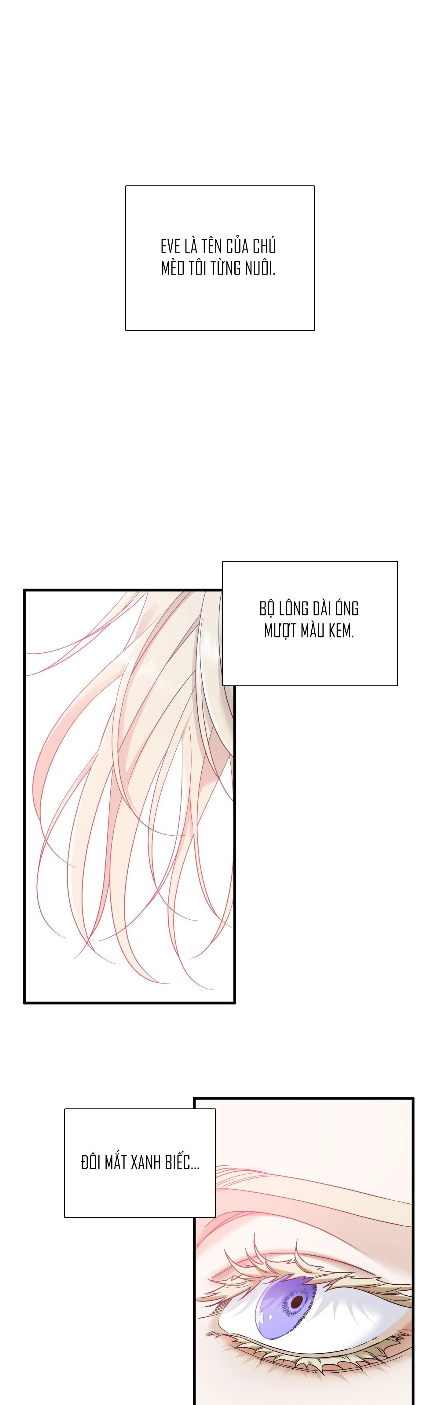 GỬI. 00 Chapter 3 Trang 13