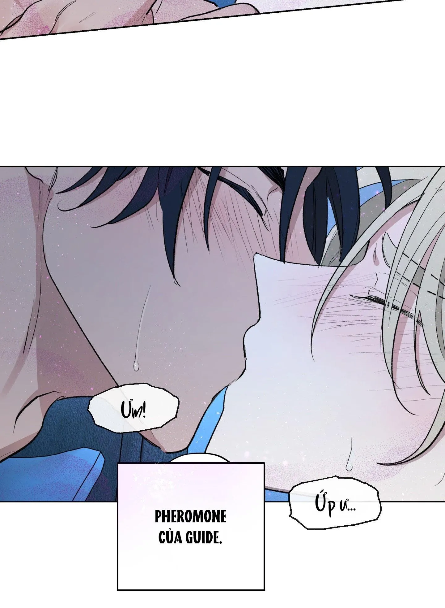 GUIDE TOÀN NĂNG Chapter 2 Trang 13