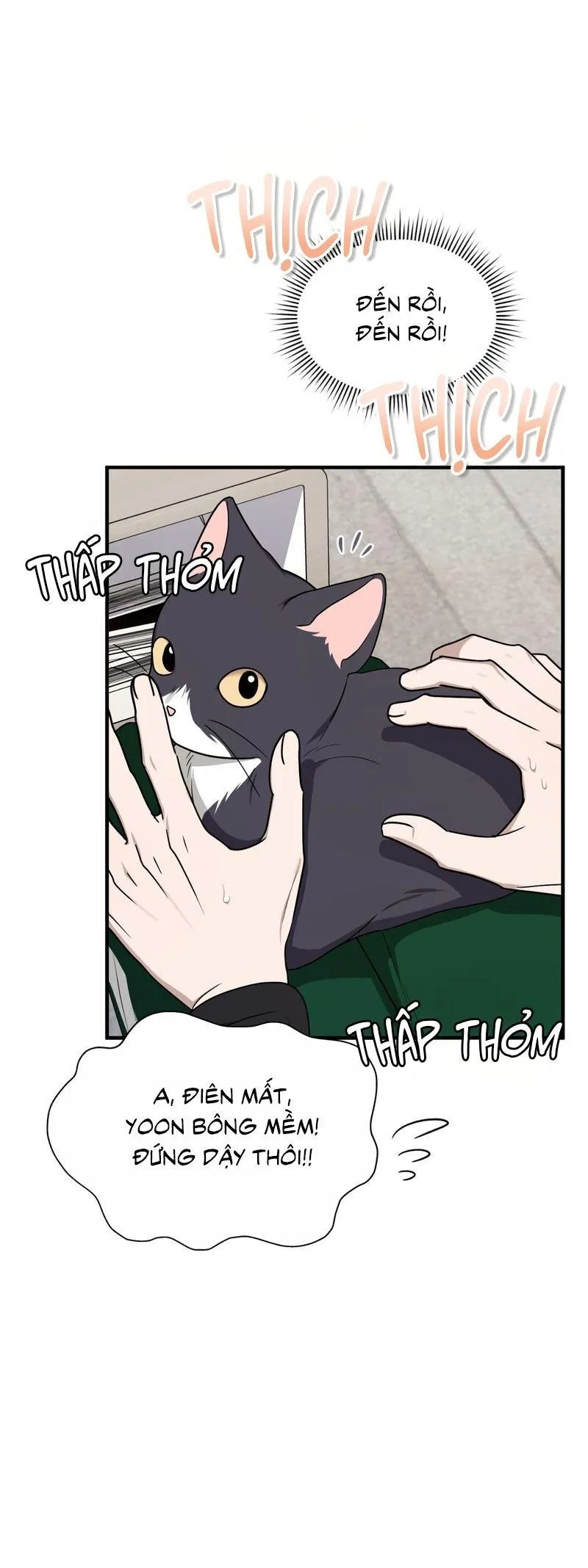 Guild member Chapter 76 Trang 5