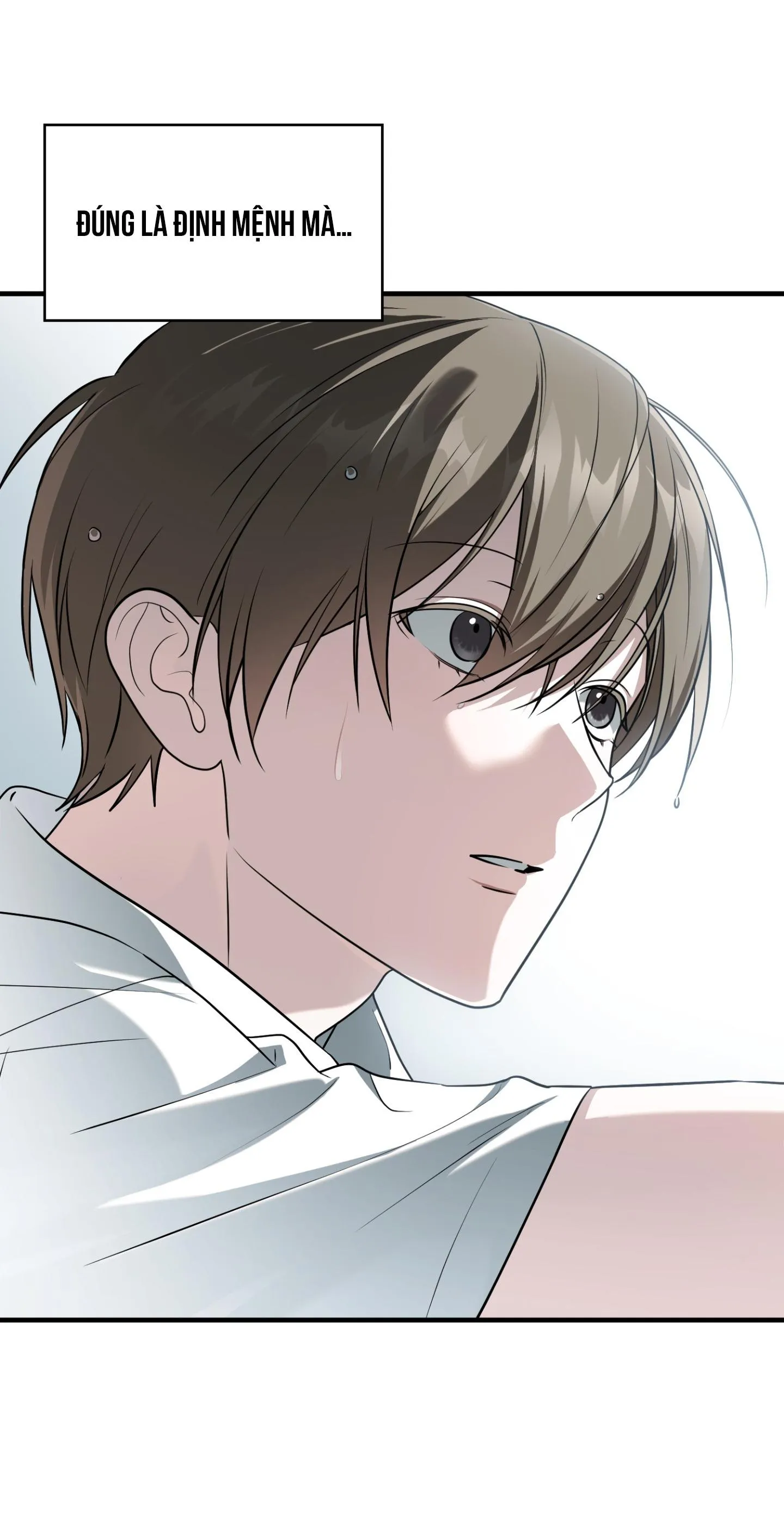 Guild member Chapter 88 Trang 67