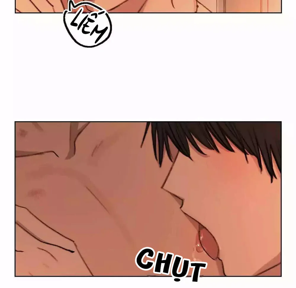 Hạ Đầu Mùa Chapter 30 Trang 15