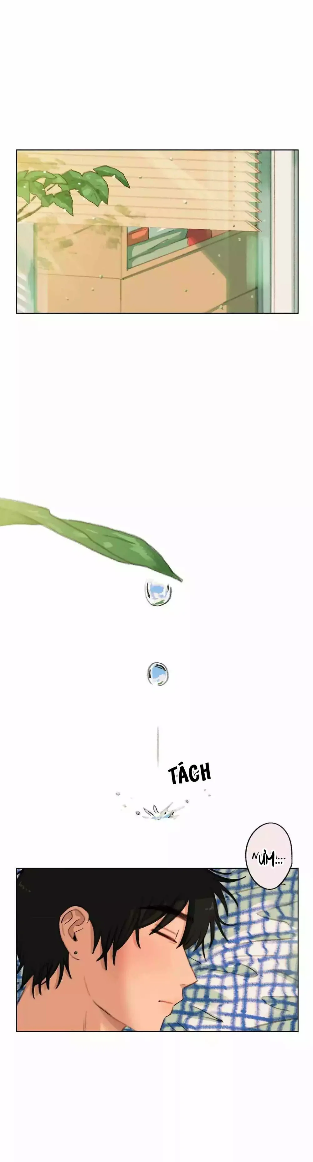 Hạ Đầu Mùa Chapter 30 Trang 33