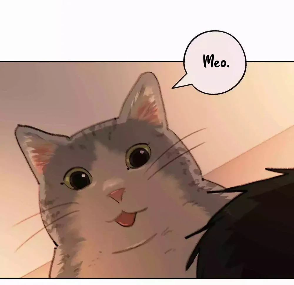 Hạ Đầu Mùa Chapter 33 Trang 26