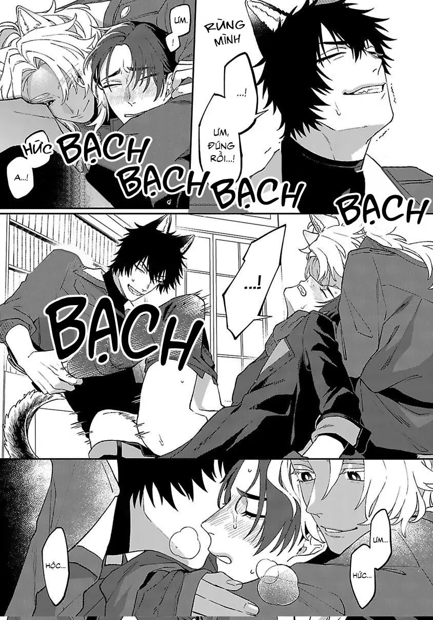 Hai Chú Chó Rắc Rối Chapter 4 Trang 10