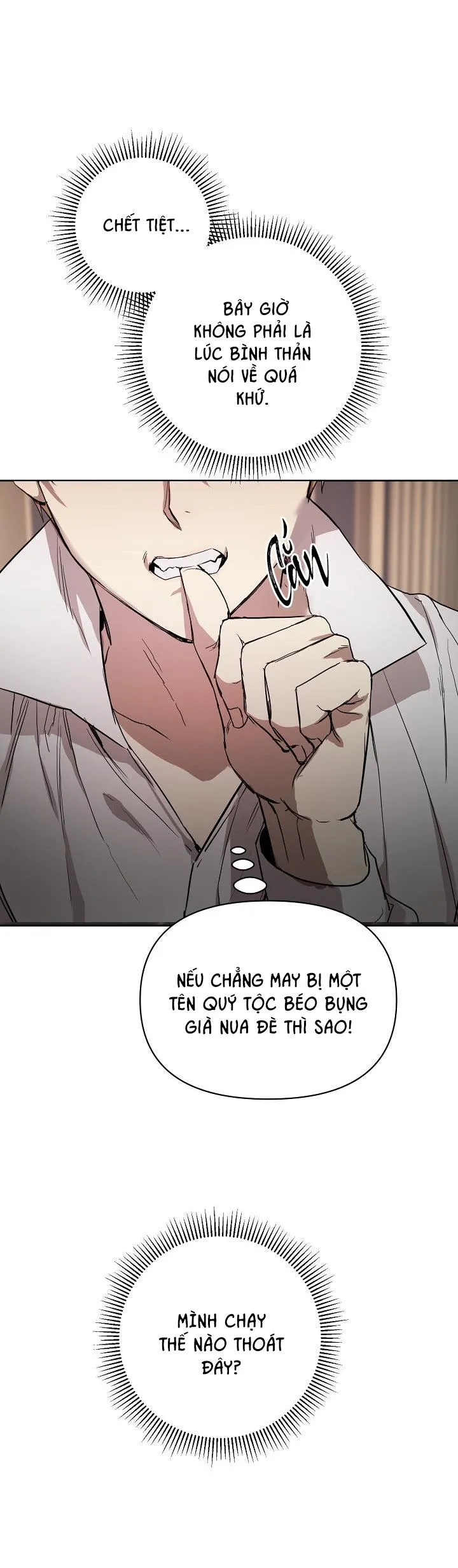 HAI ĐẤT NƯỚC, ĐẤT NƯỚC CỦA NÔ LỆ Chapter 2 Trang 27