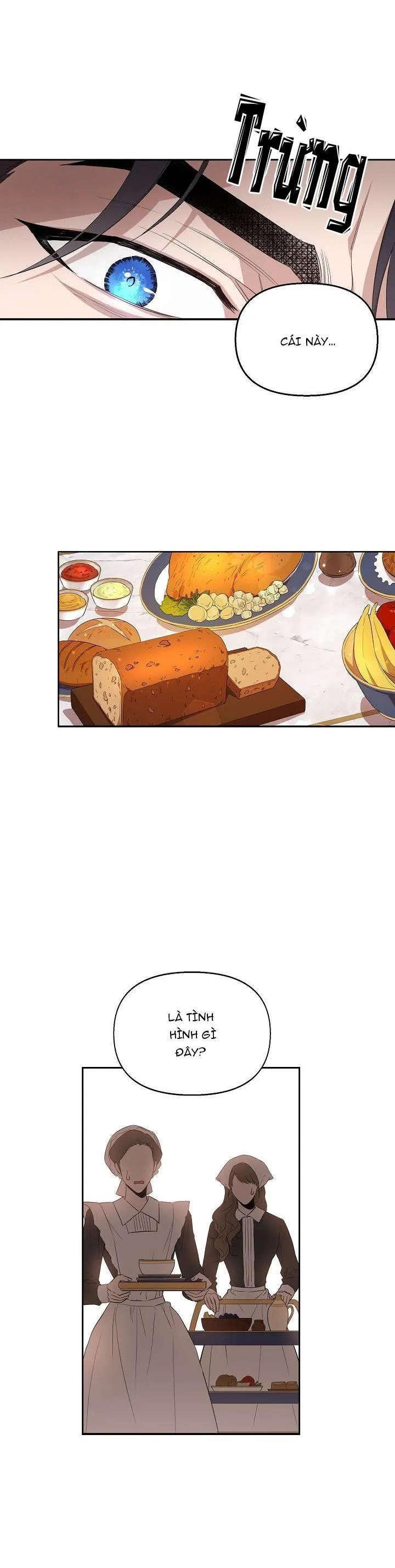 HAI ĐẤT NƯỚC, ĐẤT NƯỚC CỦA NÔ LỆ Chapter 7 Trang 11