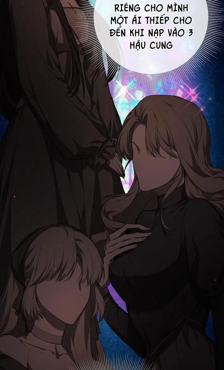 HAI ĐẤT NƯỚC, ĐẤT NƯỚC CỦA NÔ LỆ Chapter 13 Trang 11