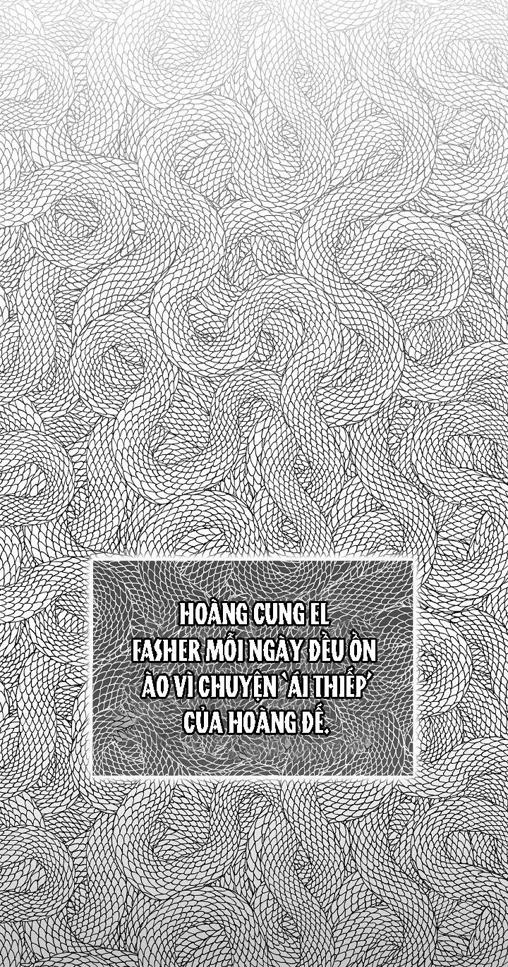 HAI ĐẤT NƯỚC, ĐẤT NƯỚC CỦA NÔ LỆ Chapter 20 Trang 10