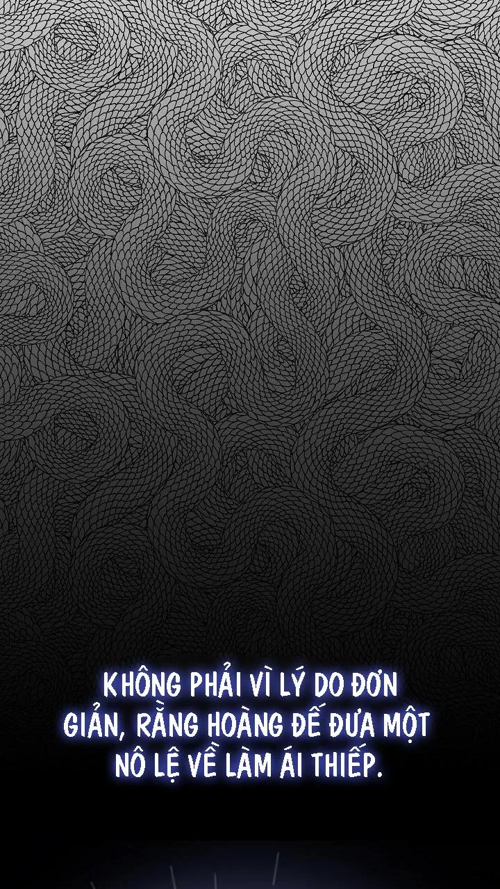HAI ĐẤT NƯỚC, ĐẤT NƯỚC CỦA NÔ LỆ Chapter 20 Trang 11