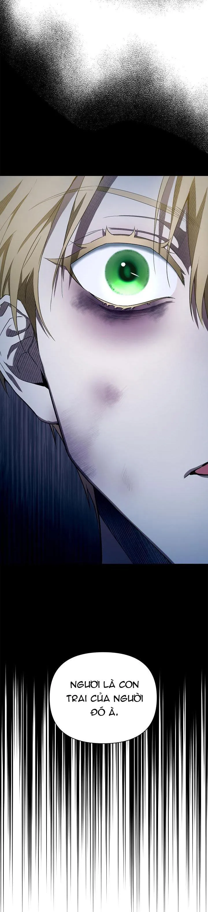 HAI ĐẤT NƯỚC, ĐẤT NƯỚC CỦA NÔ LỆ Chapter 29 Trang 65