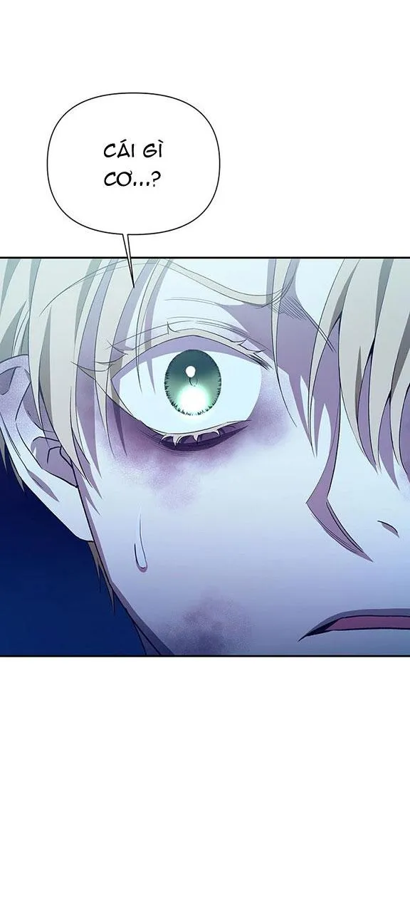 HAI ĐẤT NƯỚC, ĐẤT NƯỚC CỦA NÔ LỆ Chapter 30 Trang 14
