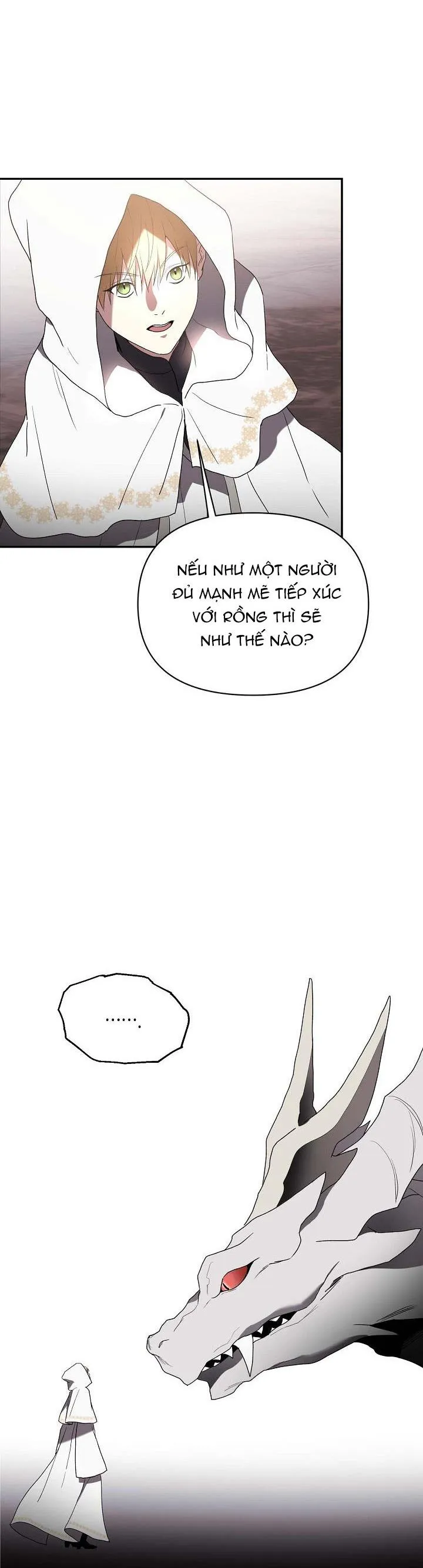 HAI ĐẤT NƯỚC, ĐẤT NƯỚC CỦA NÔ LỆ Chapter 48 Trang 27