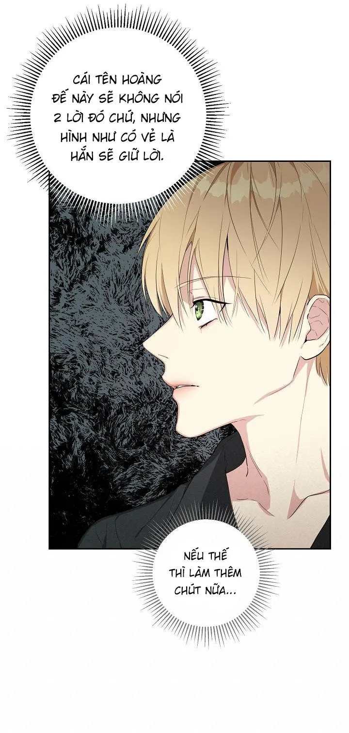 Hai Đế Quốc, Đế Quốc Của Nô Lệ Chapter 7 Trang 47