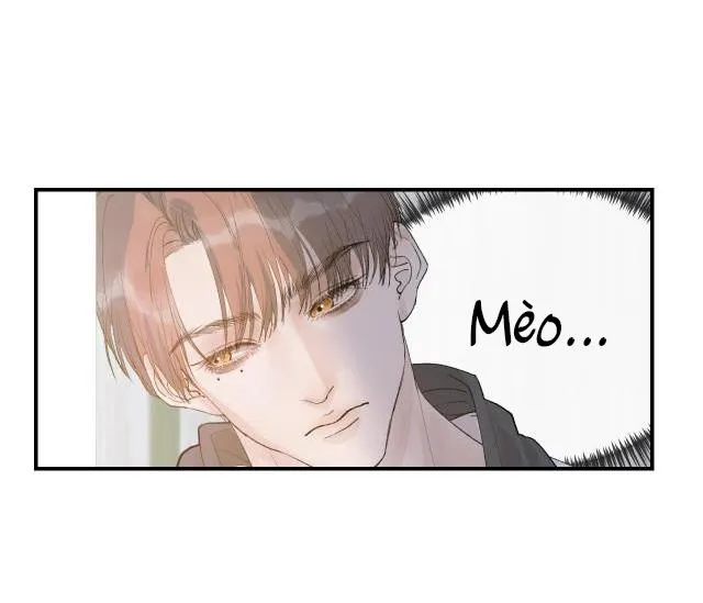 Hàn Mạch Tựa Quang Chapter 11 Trang 9