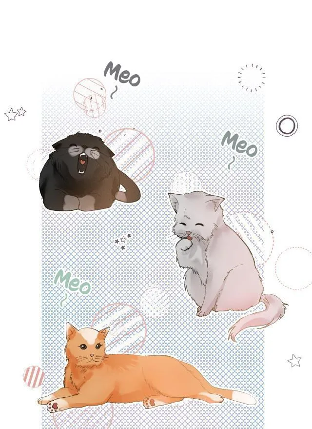 Hàn Mạch Tựa Quang Chapter 11 Trang 24