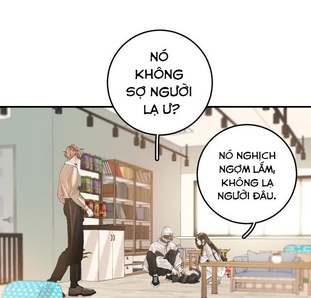 Hàn Mạch Tựa Quang Chapter 11 Trang 29