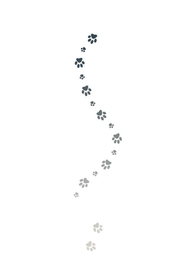 Hàn Mạch Tựa Quang Chapter 11 Trang 33