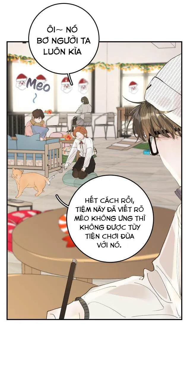 Hàn Mạch Tựa Quang Chapter 11 Trang 44