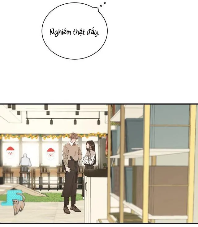 Hàn Mạch Tựa Quang Chapter 11 Trang 46