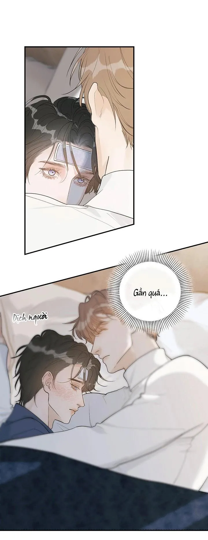 Hàn Mạch Tựa Quang Chapter 26 Trang 25