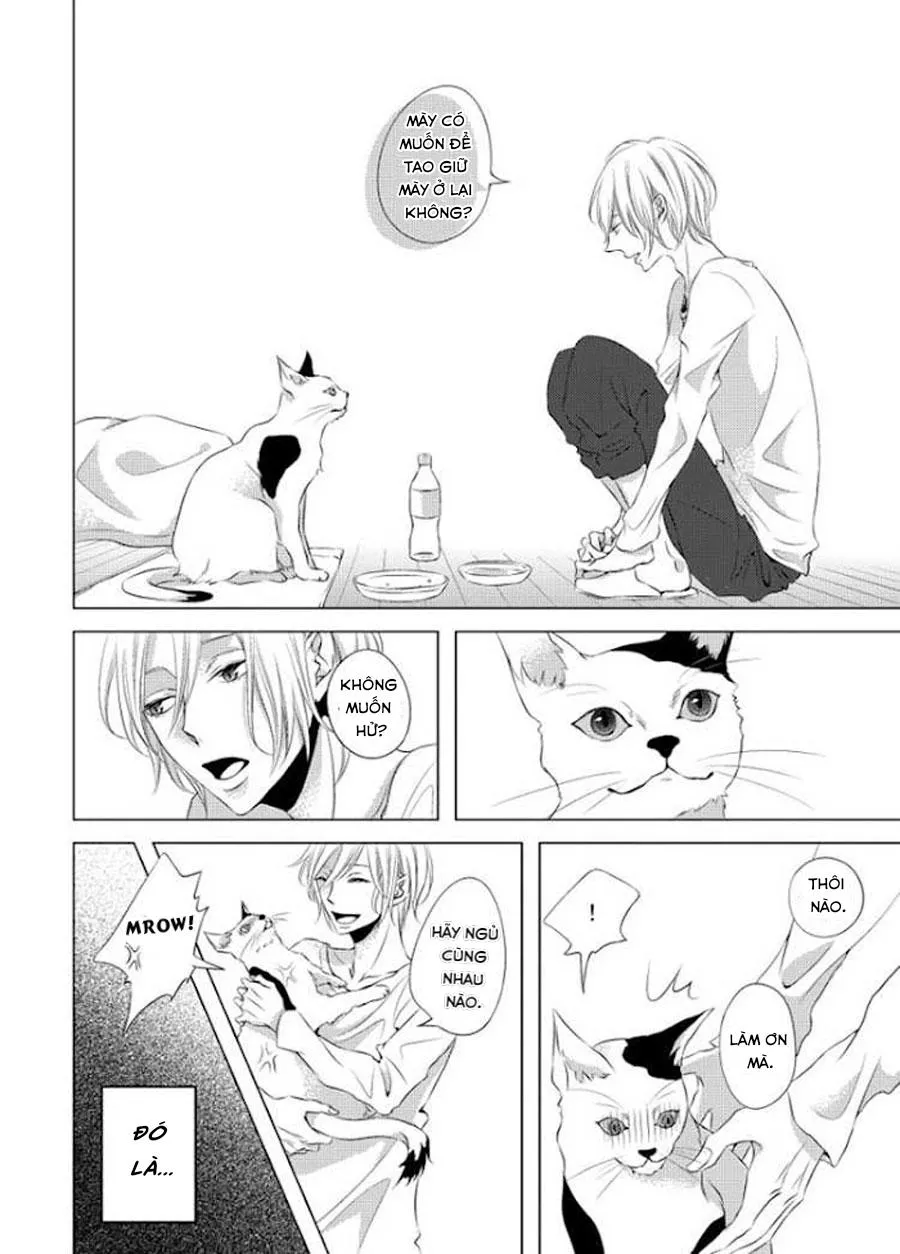 Hana to Junketsu Chapter 5 Trang 7