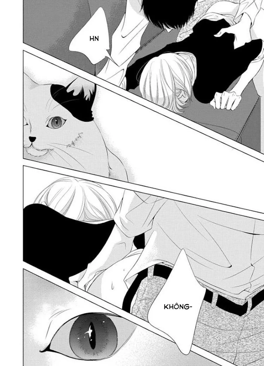 Hana to Junketsu Chapter 5 Trang 15