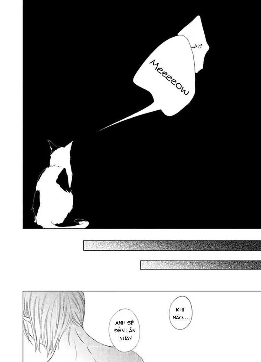 Hana to Junketsu Chapter 5 Trang 17