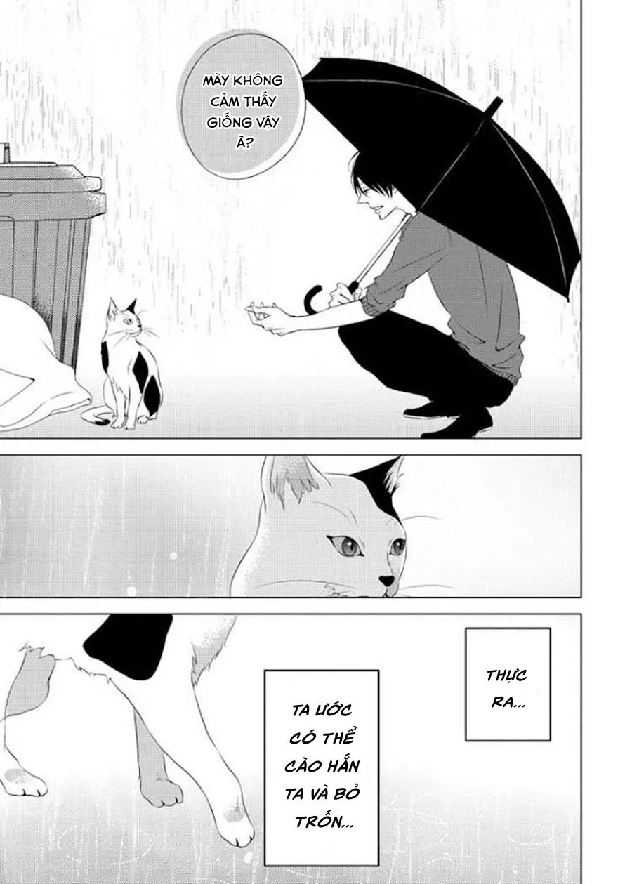 Hana to Junketsu Chapter 5 Trang 34