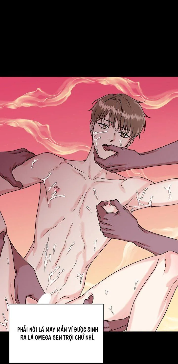 HANG CỌP (ABO) Chapter 1 Trang 41