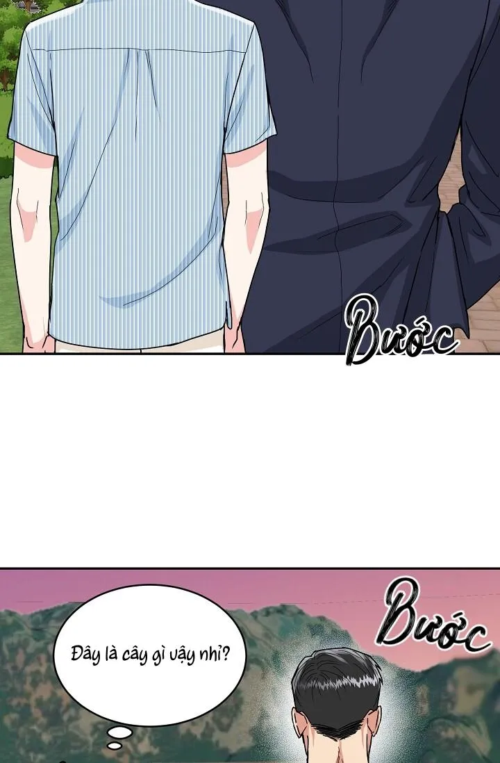 HANG CỌP (ABO) Chapter 6 Trang 64