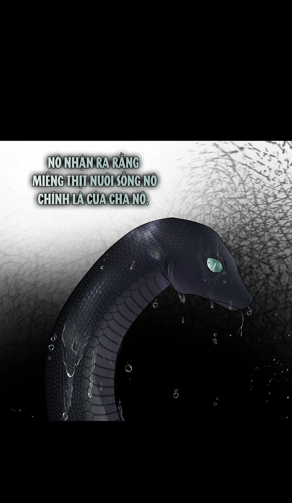 HANG RẮN Chapter 15 Trang 18