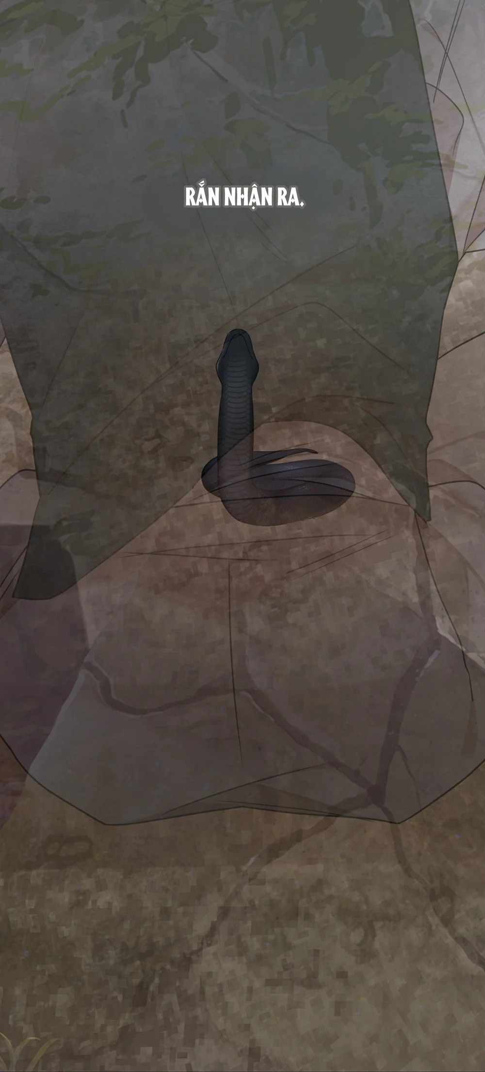 HANG RẮN Chapter 15 Trang 74