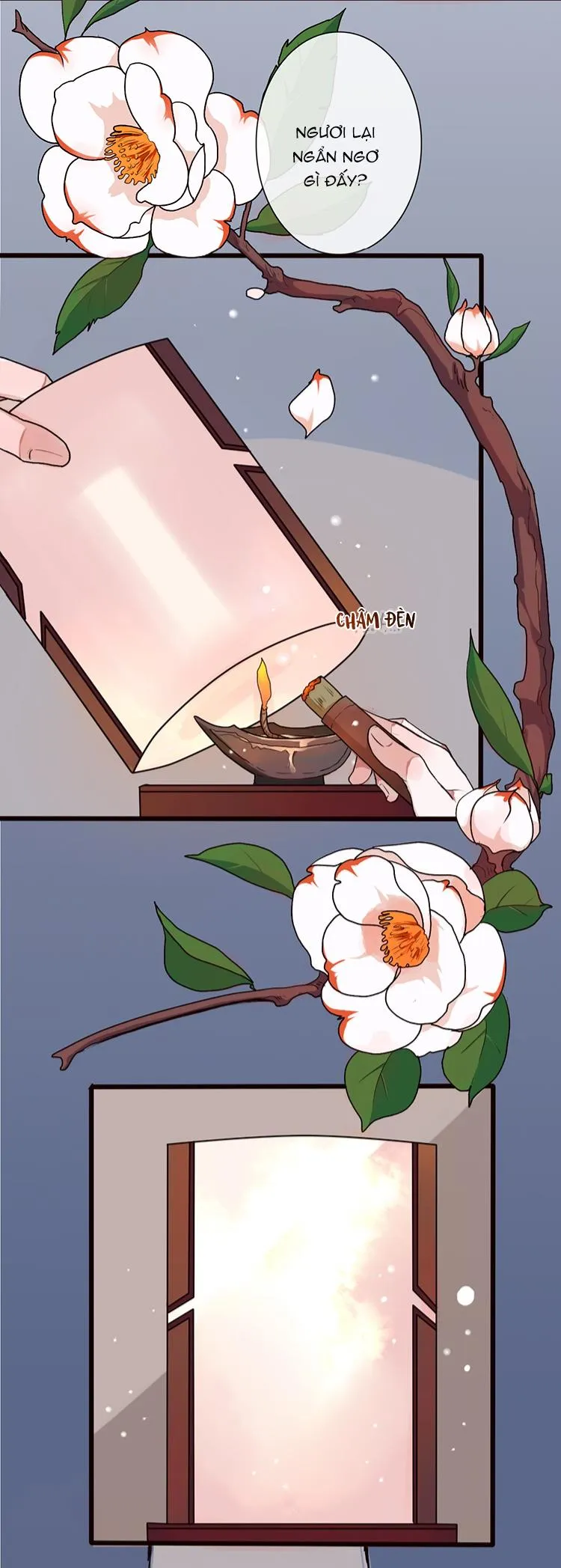 Hạnh Lâm Phương Hoa Chapter 21 Trang 3