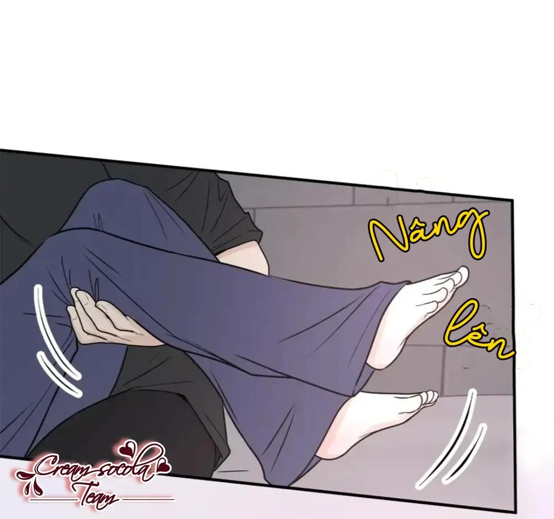 Hạnh Phúc Trọn Vẹn Chapter 11 Trang 13