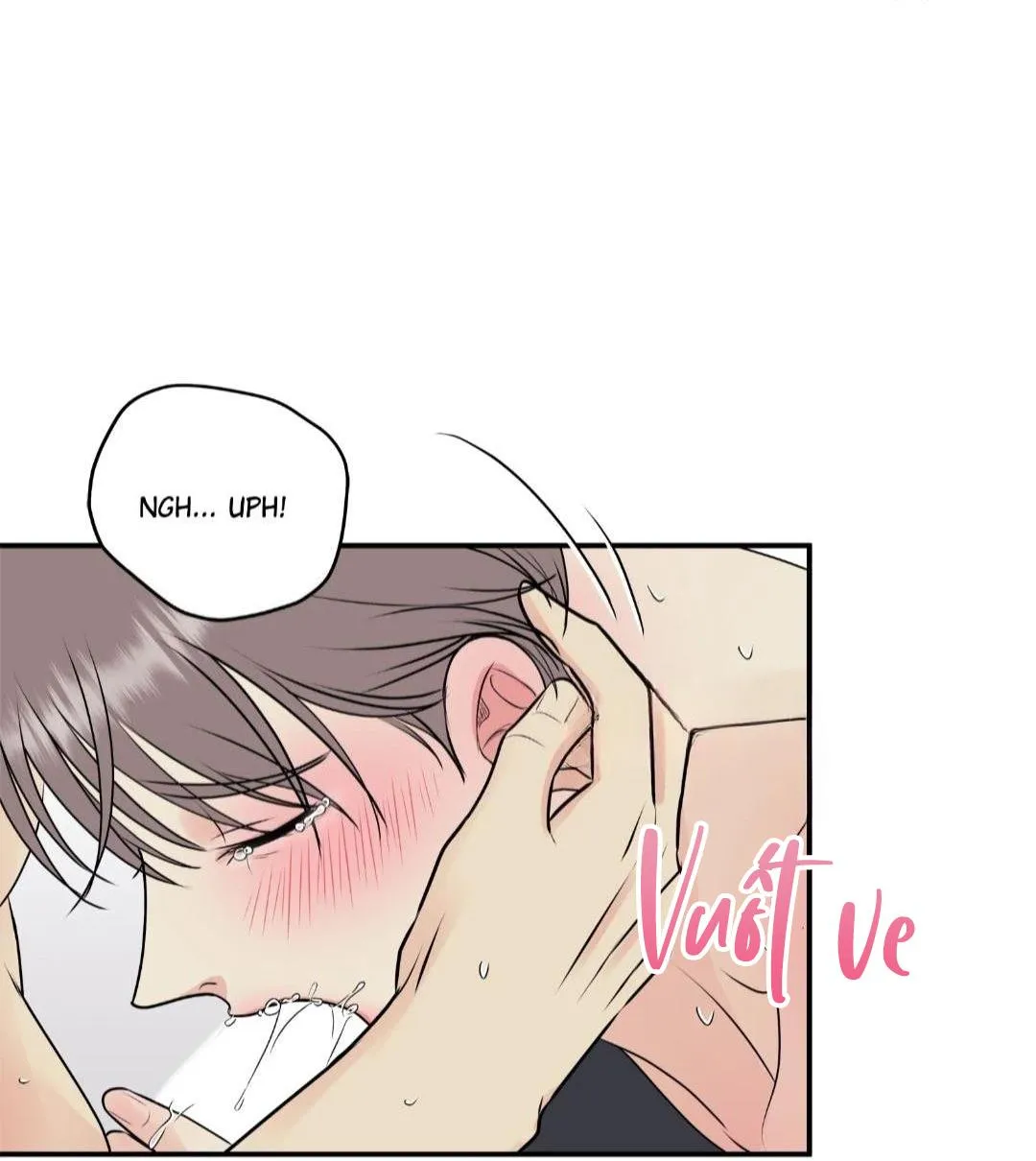 Hạnh Phúc Trọn Vẹn Chapter 19 Trang 21