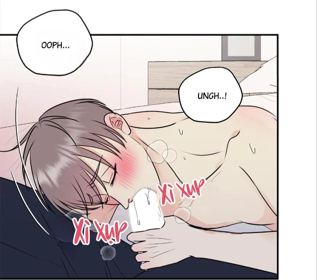 Hạnh Phúc Trọn Vẹn Chapter 19 Trang 61